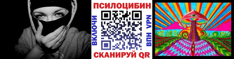 где купить   Иркутск  Галлюциногенные грибы GOLDEN TEACHER 